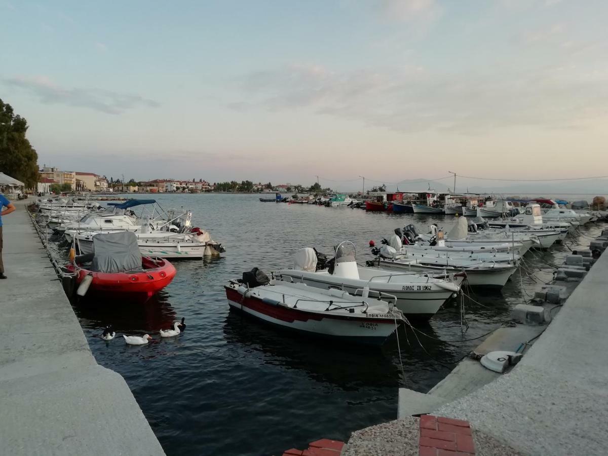 House With Dreamy View Volos Agria Bagian luar foto